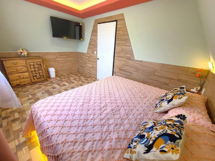 Cabana Alpina Tolantongo Cardonal Ngoại thất bức ảnh
